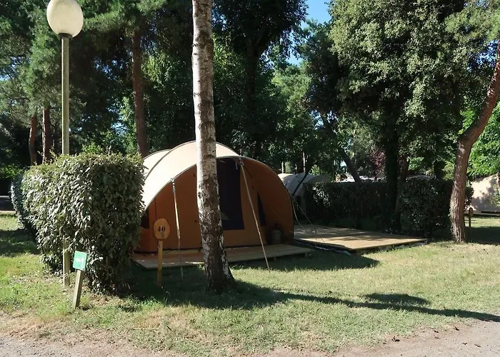 캠프장 Le Both D'orouet